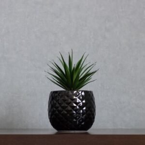 Flower Pot/ Planters